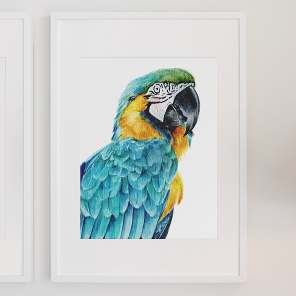 Blue Macaw Parrot Bird Watercolor Wall Art Print Poster Unframed - Picture 3 of 8